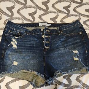 Torrid Dark Blue Distressed Jean Shorts 20W